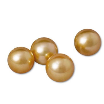  Golden South Sea pearls ( natural colour )   