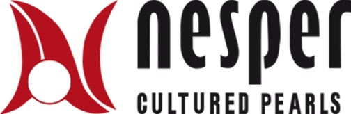 Heinz Nesper Logo